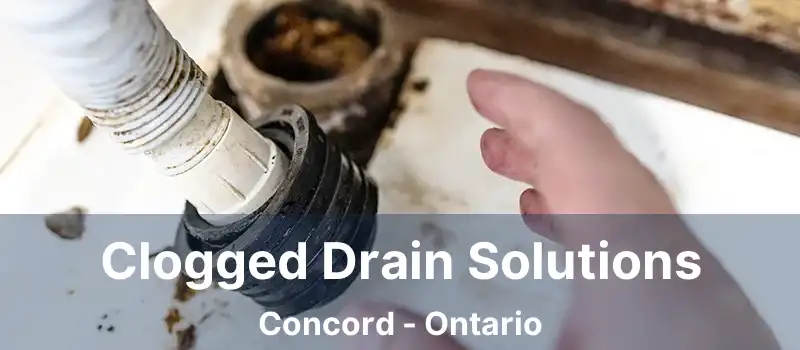  Clogged Drain Solutions Concord - Ontario