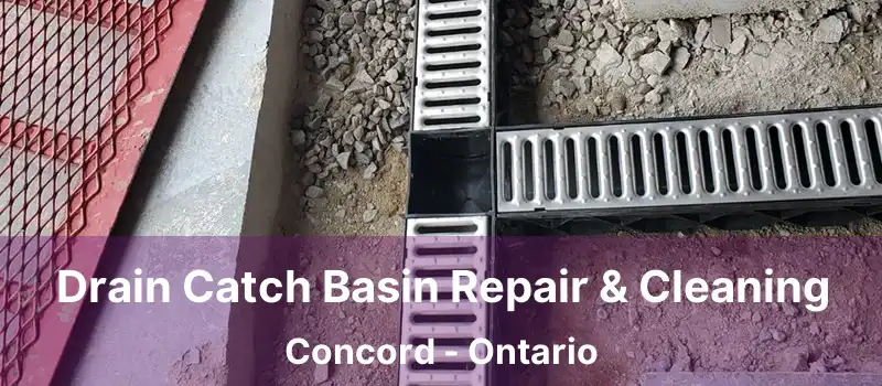  Drain Catch Basin Repair & Cleaning Concord - Ontario