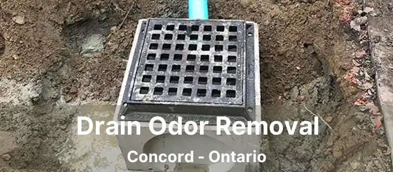  Drain Odor Removal Concord - Ontario