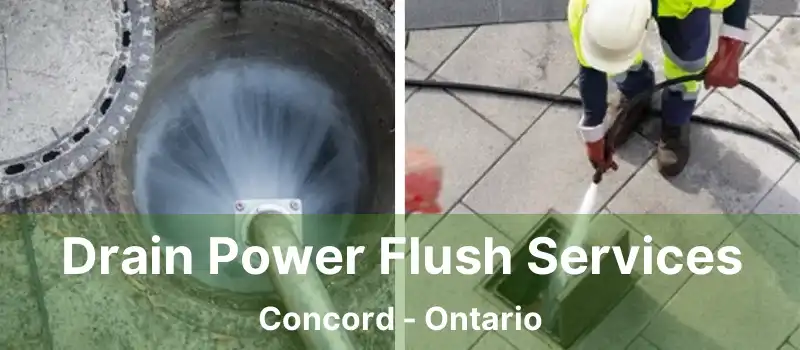  Drain Power Flush Services Concord - Ontario