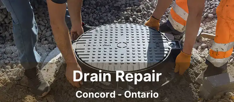  Drain Repair Concord - Ontario