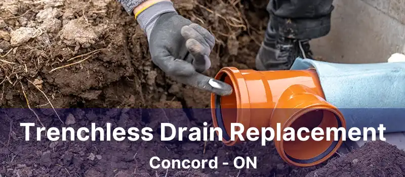  Trenchless Drain Replacement Concord - ON